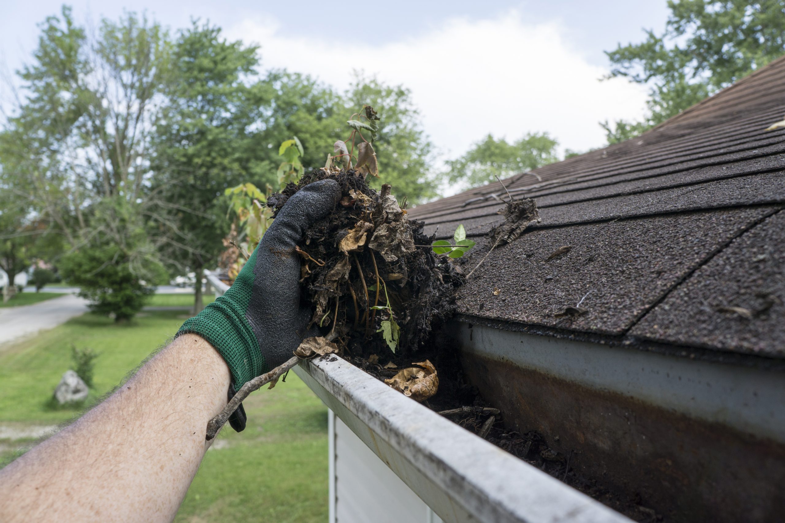gutter